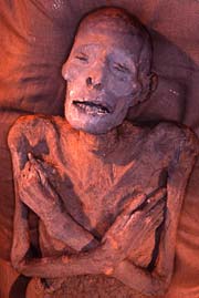 Mummy van Ramses I
