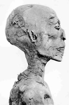 De mummie van Ramses IV