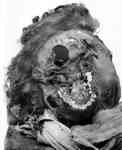 Het hoofs van de mummie van Tao II kapot geslagen met wapens.