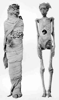 De mummie van Tawaseret