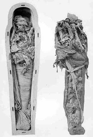 De mummie van Ramses VI