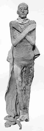 De mummie van Ramses III